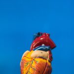 Top Heart-Healthy Habits That Improved My Cardiovascular Health